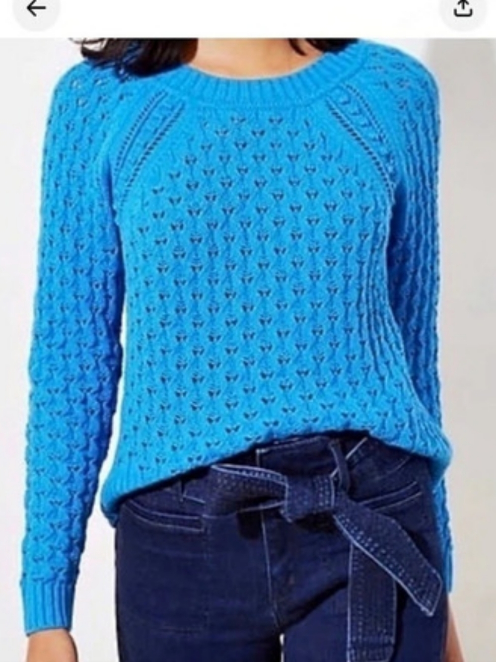 NWT LOFT Pointelle Knit Crewneck Sweater Blue (XS Petite)